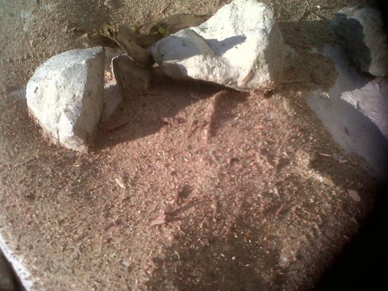 un petit coin de paradis