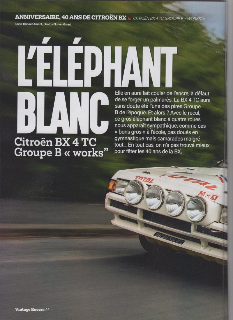 Elephant blanc