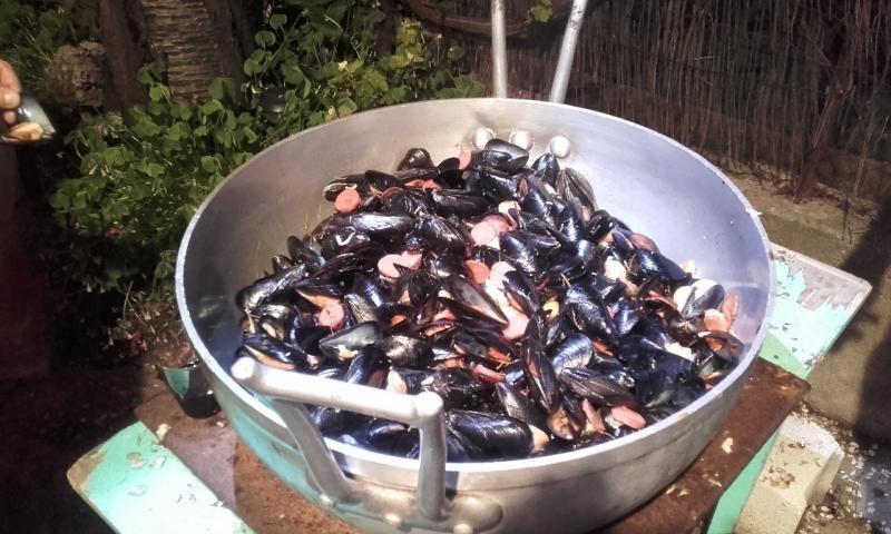 Moule au Chorizo Moule au Chorizo